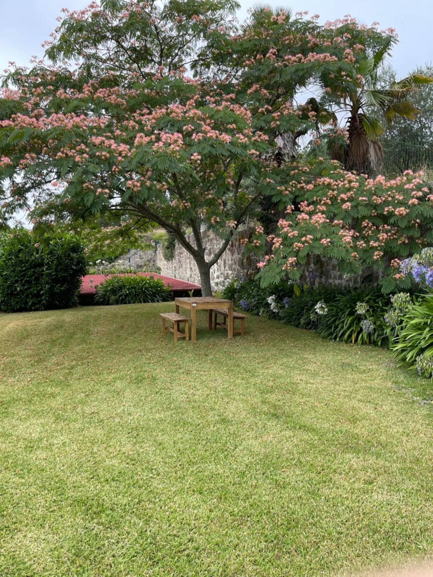 Quinta Da Fonte - Agroturismo Barroselas Habitación foto